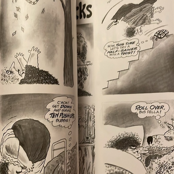 MAD - Picture 5 of 9